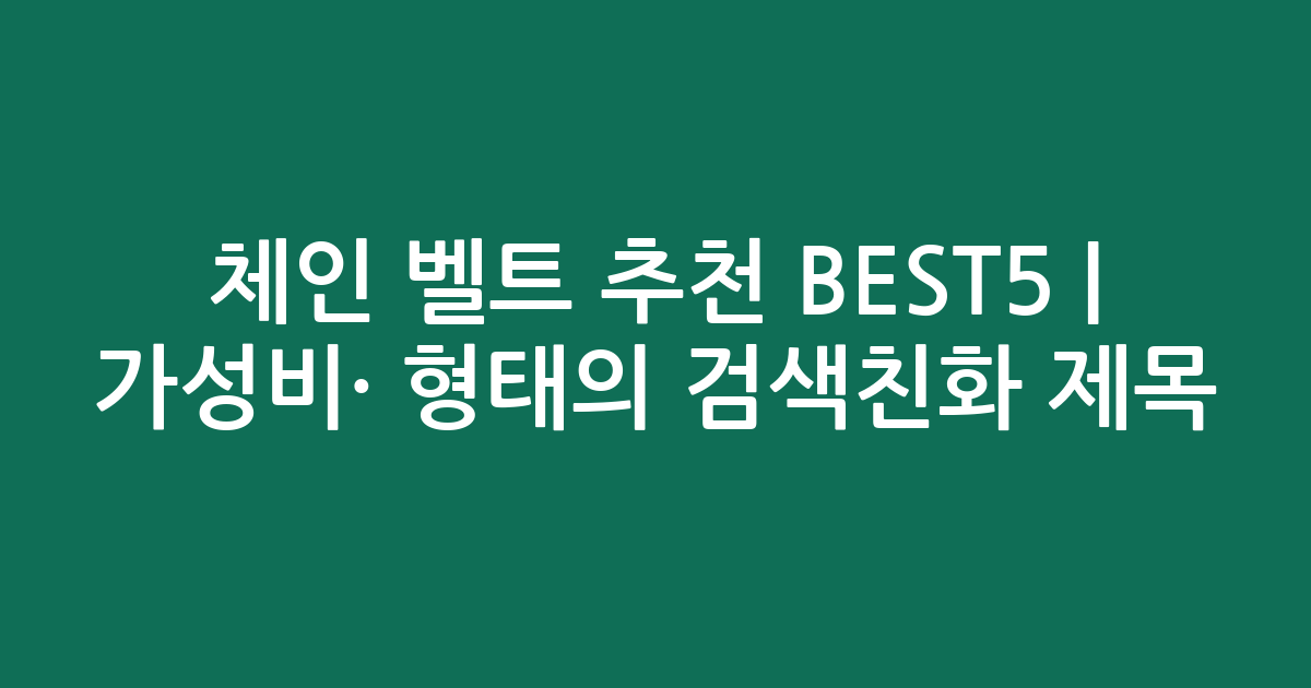 체인 벨트 추천 BEST5 | 가성비·인기 비교 형태의 검색친화 제목