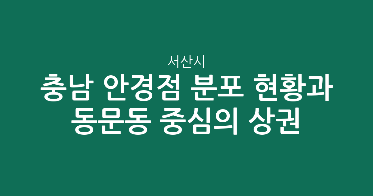 충남 서산시 안경점 분포 현황과 동문동 중심의 상권 분석