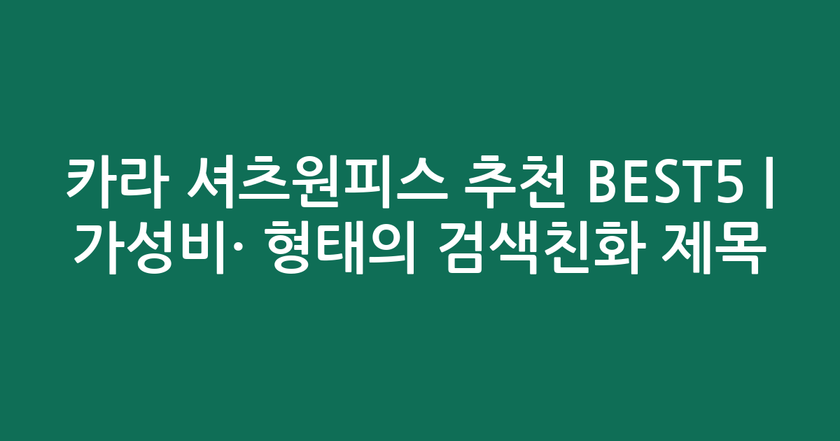 카라 셔츠원피스 추천 BEST5 | 가성비·인기 비교 형태의 검색친화 제목