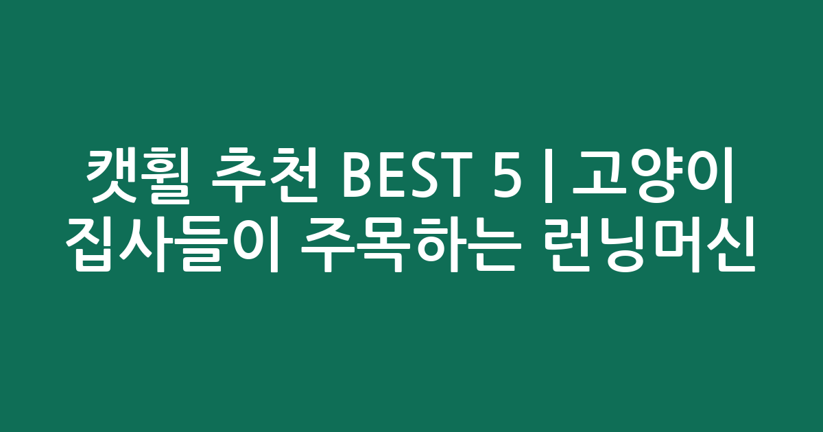 캣휠 추천 BEST 5 | 고양이 집사들이 주목하는 인기 런닝머신 비교