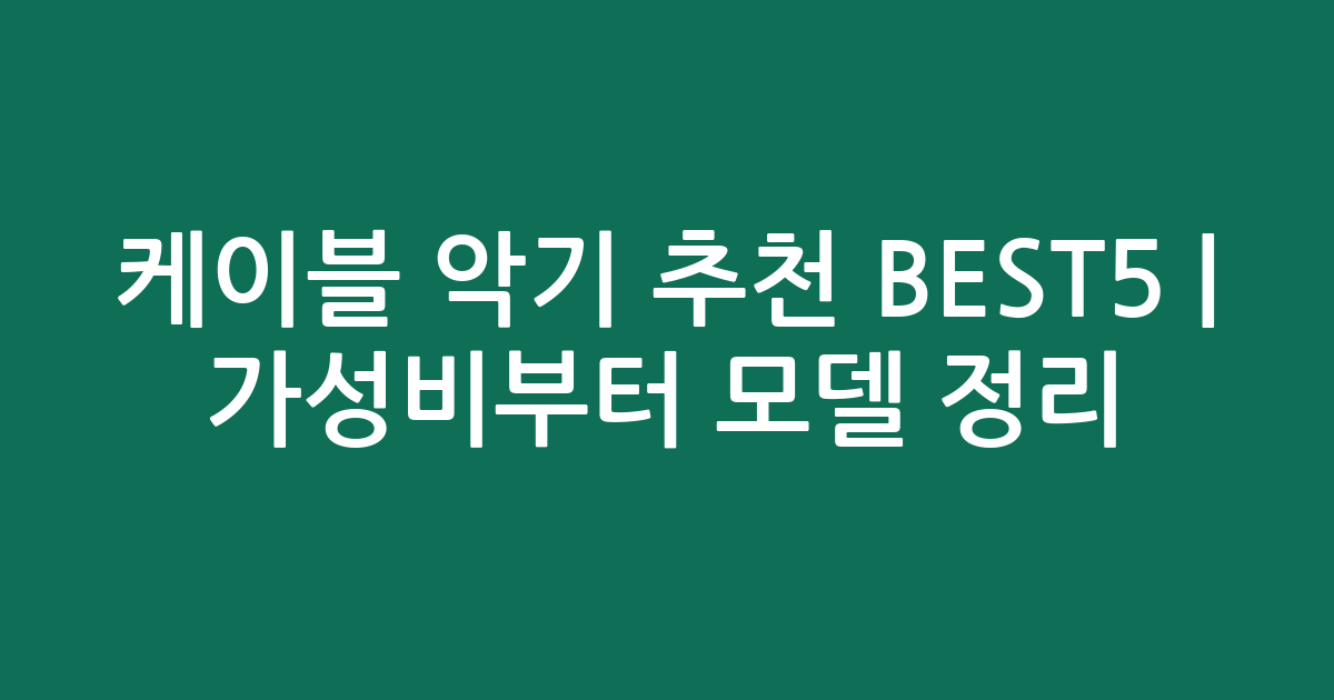 케이블 악기 추천 BEST5 | 가성비부터 인기 모델 비교 정리