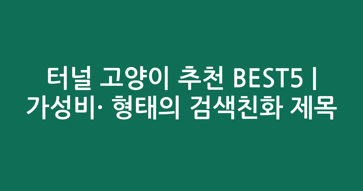 터널 고양이 추천 BEST5 | 가성비·인기 비교 형태의 검색친화 제목