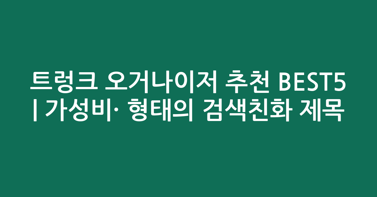 트렁크 오거나이저 추천 BEST5 | 가성비·인기 비교 형태의 검색친화 제목