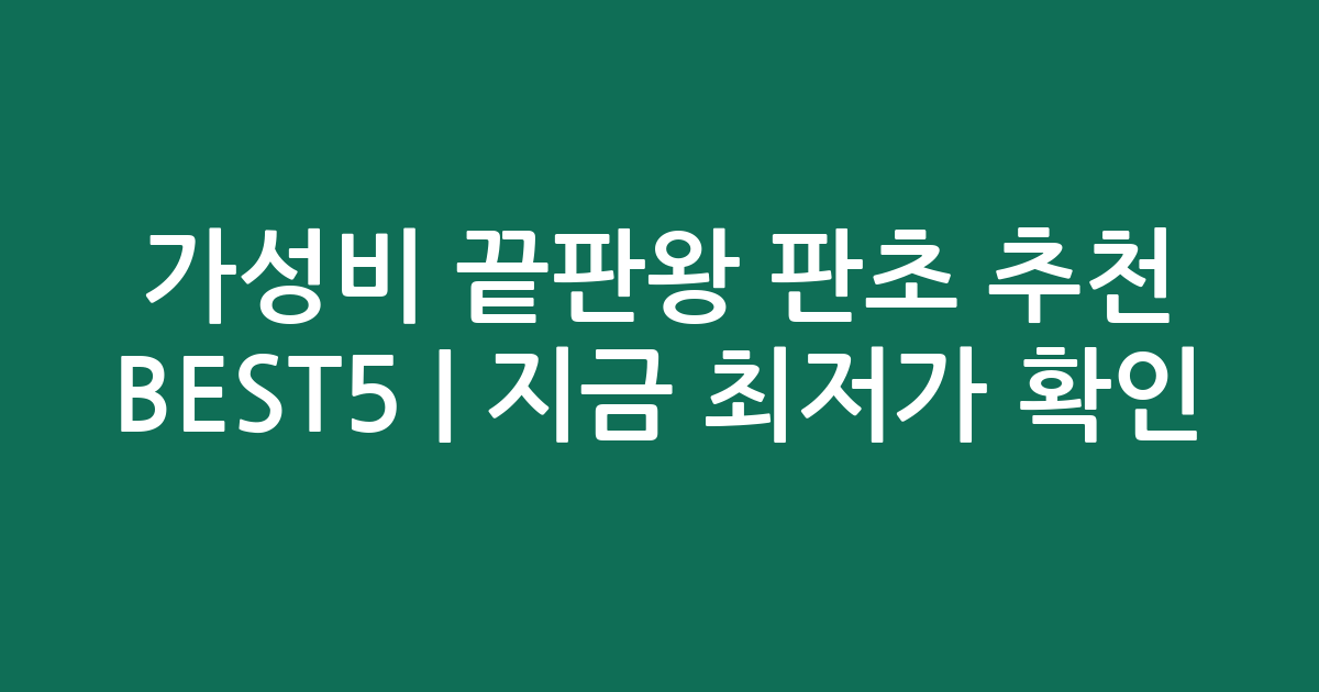 가성비 끝판왕 판초 추천 BEST5 | 지금 최저가 확인!