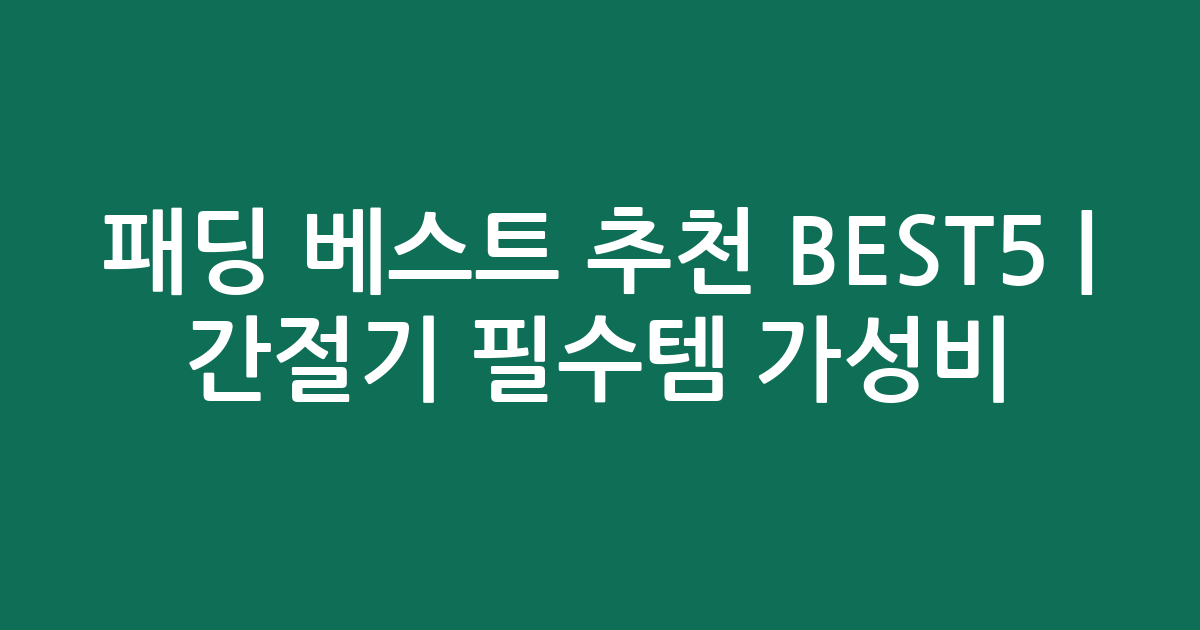 패딩 베스트 추천 BEST5 | 간절기 필수템 가성비·인기 비교