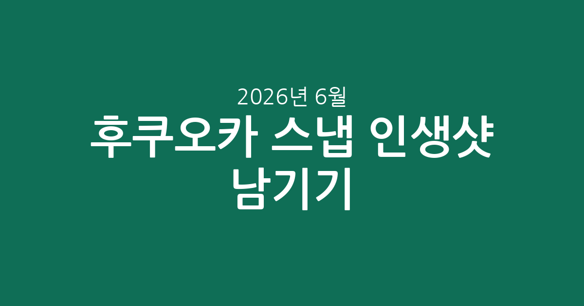 후쿠오카 스냅 인생샷 남기기! 추천 투어 & 가격 비교 (2026년 6월 6일 기준)