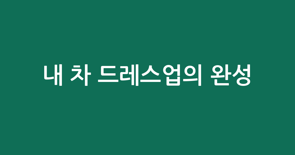 내 차 드레스업의 완성! 휀더 가드 & 몰딩 추천 BEST 5