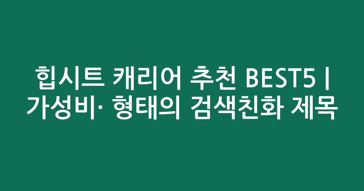 힙시트 캐리어 추천 BEST5 | 가성비·인기 비교 형태의 검색친화 제목