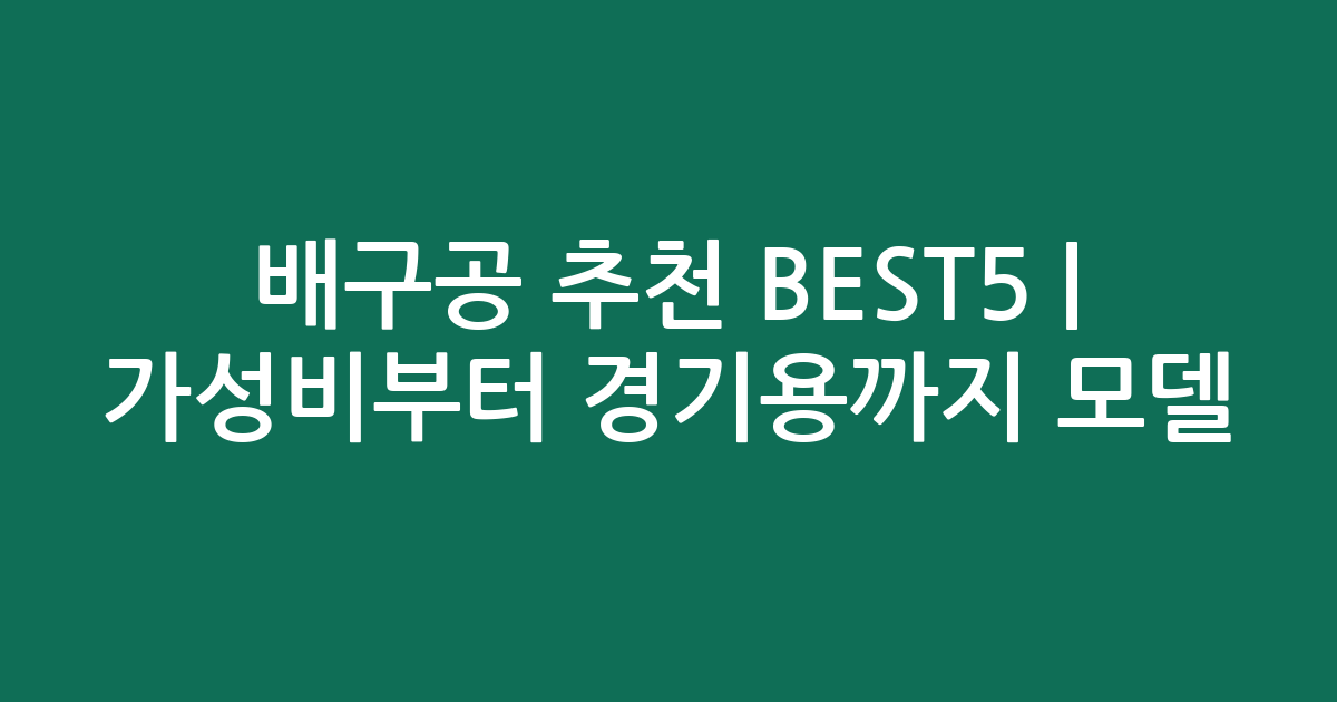배구공 추천 BEST5 | 가성비부터 경기용까지 인기 모델 비교