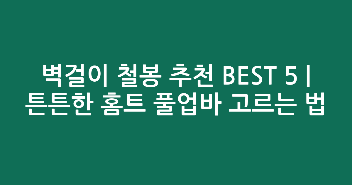 벽걸이 철봉 추천 BEST 5 | 튼튼한 홈트 풀업바 고르는 법