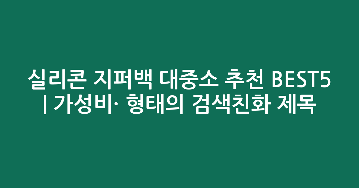 실리콘 지퍼백 대중소 추천 BEST5 | 가성비·인기 비교 형태의 검색친화 제목