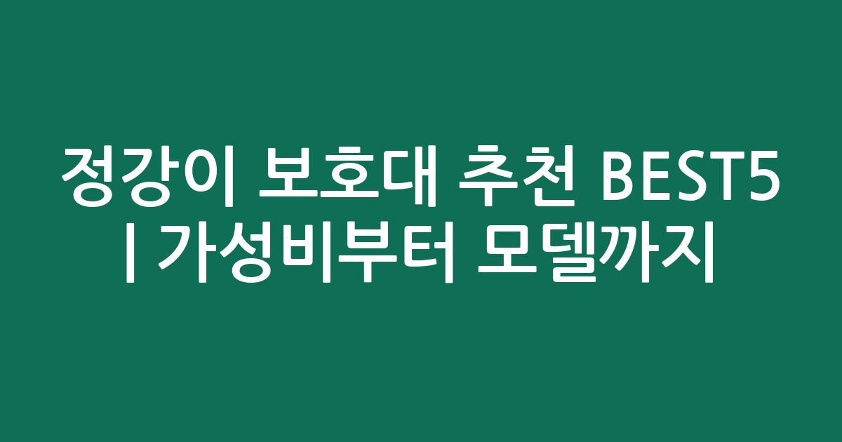 정강이 보호대 추천 BEST5 | 가성비부터 인기 모델까지 비교