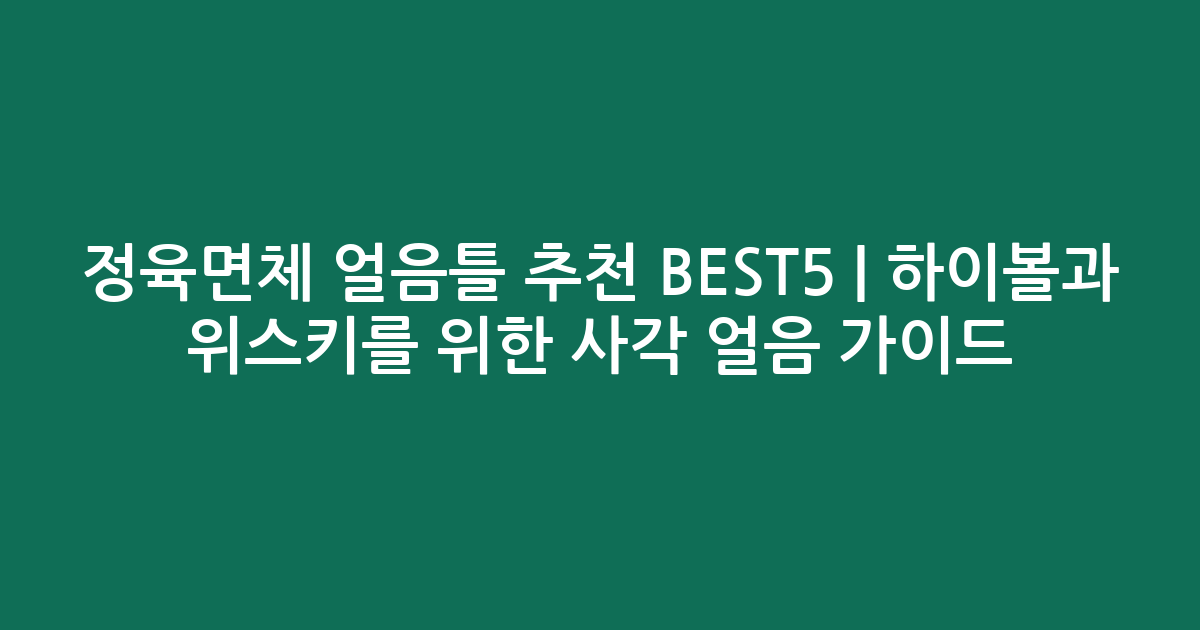 정육면체 얼음틀 추천 BEST5 | 하이볼과 위스키를 위한 사각 얼음 가이드