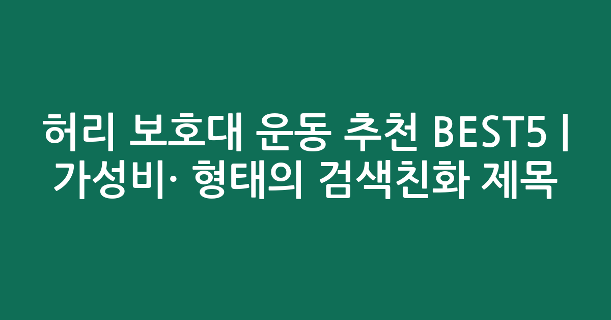 허리 보호대 운동 추천 BEST5 | 가성비·인기 비교 형태의 검색친화 제목