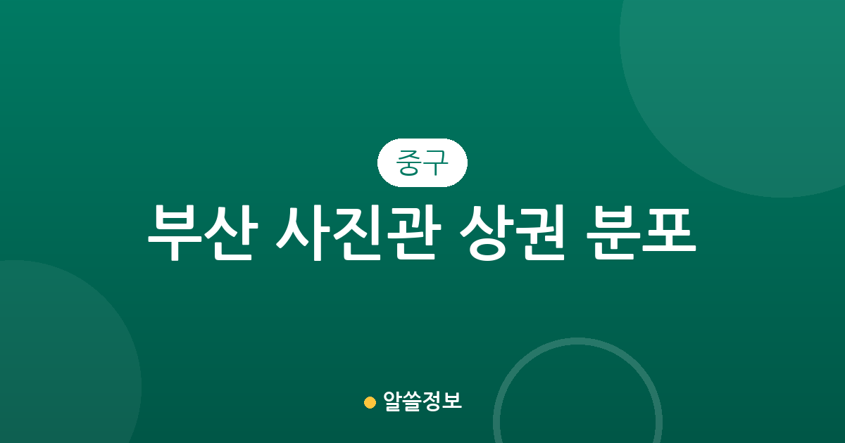 부산 중구 사진관 상권 분포 분석: 중앙동부터 부평동까지 우리 동네 포토스튜디오 찾기