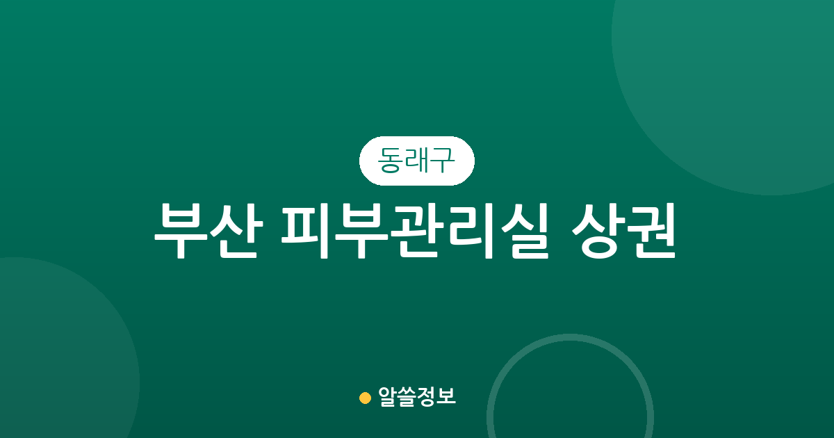 부산 동래구 피부관리실 상권 분석: 명륜동·사직동 에스테틱 밀집도 확인하기