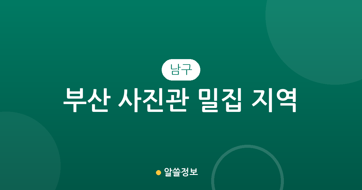 부산 남구 사진관 밀집 지역 분석: 대연동부터 문현동까지 동네별 상권 현황