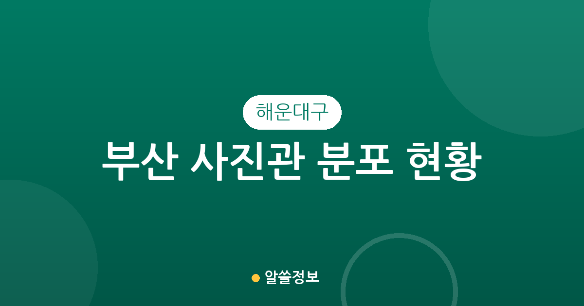 부산 해운대구 사진관 분포 현황: 송정동·우동 일대 밀집 상권 분석